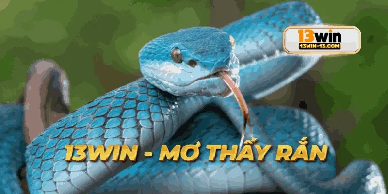 Hình ảnh khuyến mãi hấp dẫn dành cho thành viên mơ thấy rắn.