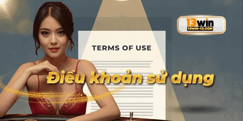 Hình minh họa giao diện trình bày điều khoản điều kiện trên web