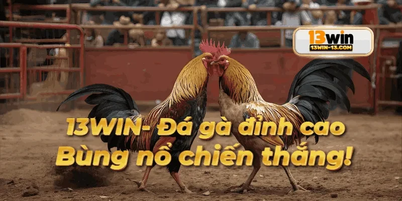 Khuyến mãi hấp dẫn dành riêng cho thành viên đá gà 13win mới đăng ký.